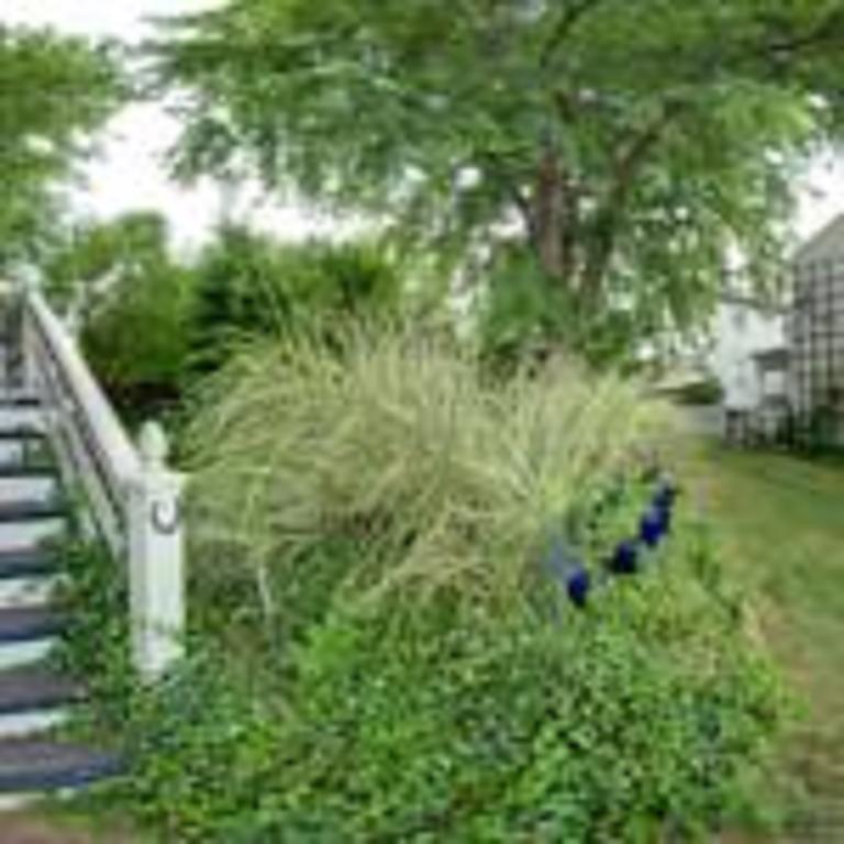 Lily Garden Bed And Breakfast Harpers Ferry Bagian luar foto